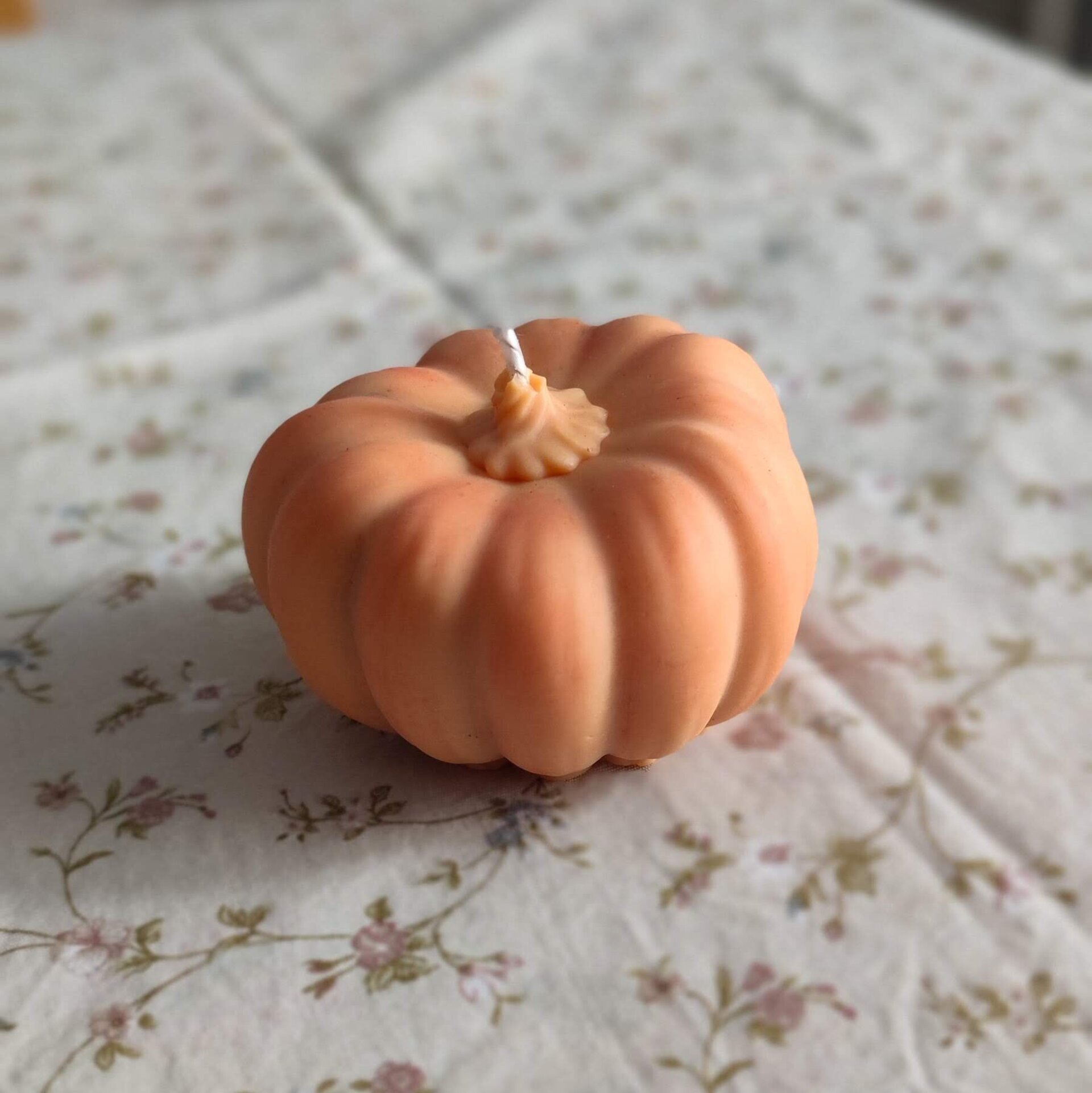 Calabaza - 5