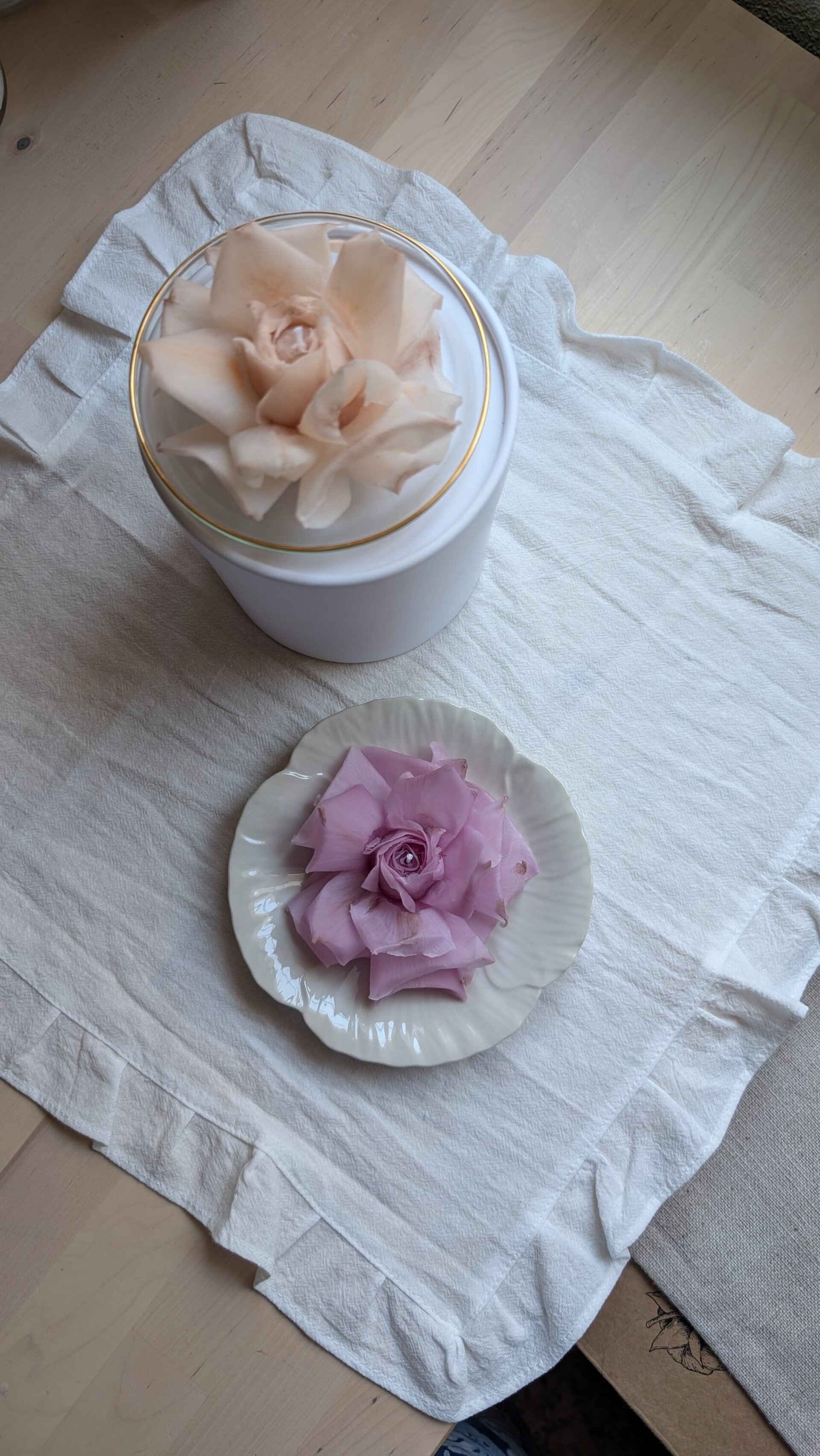 Vela FLOR ROSA francesa - 4