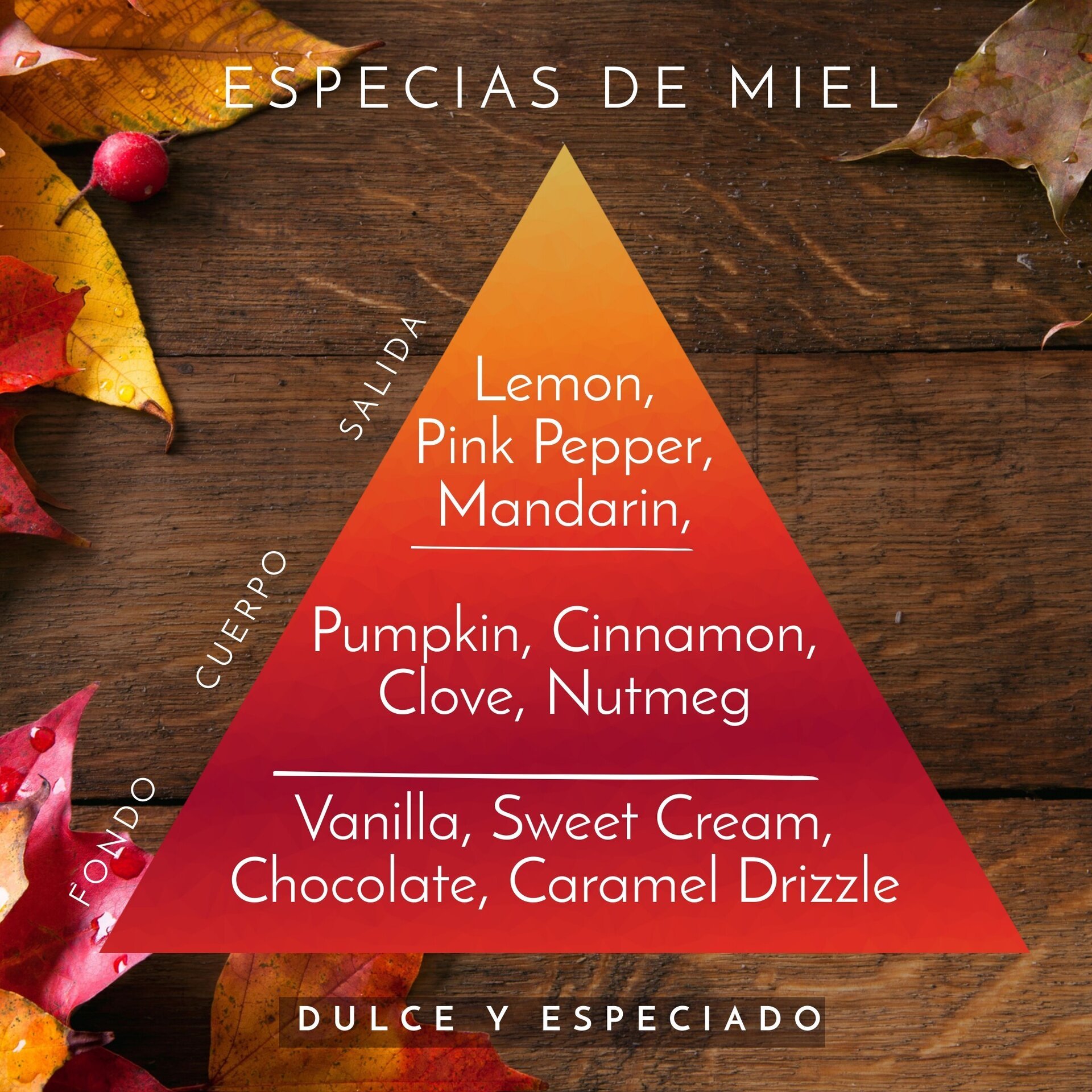 Calabaza Butternut — Vela Artesanal de Cera de Oliva - 8