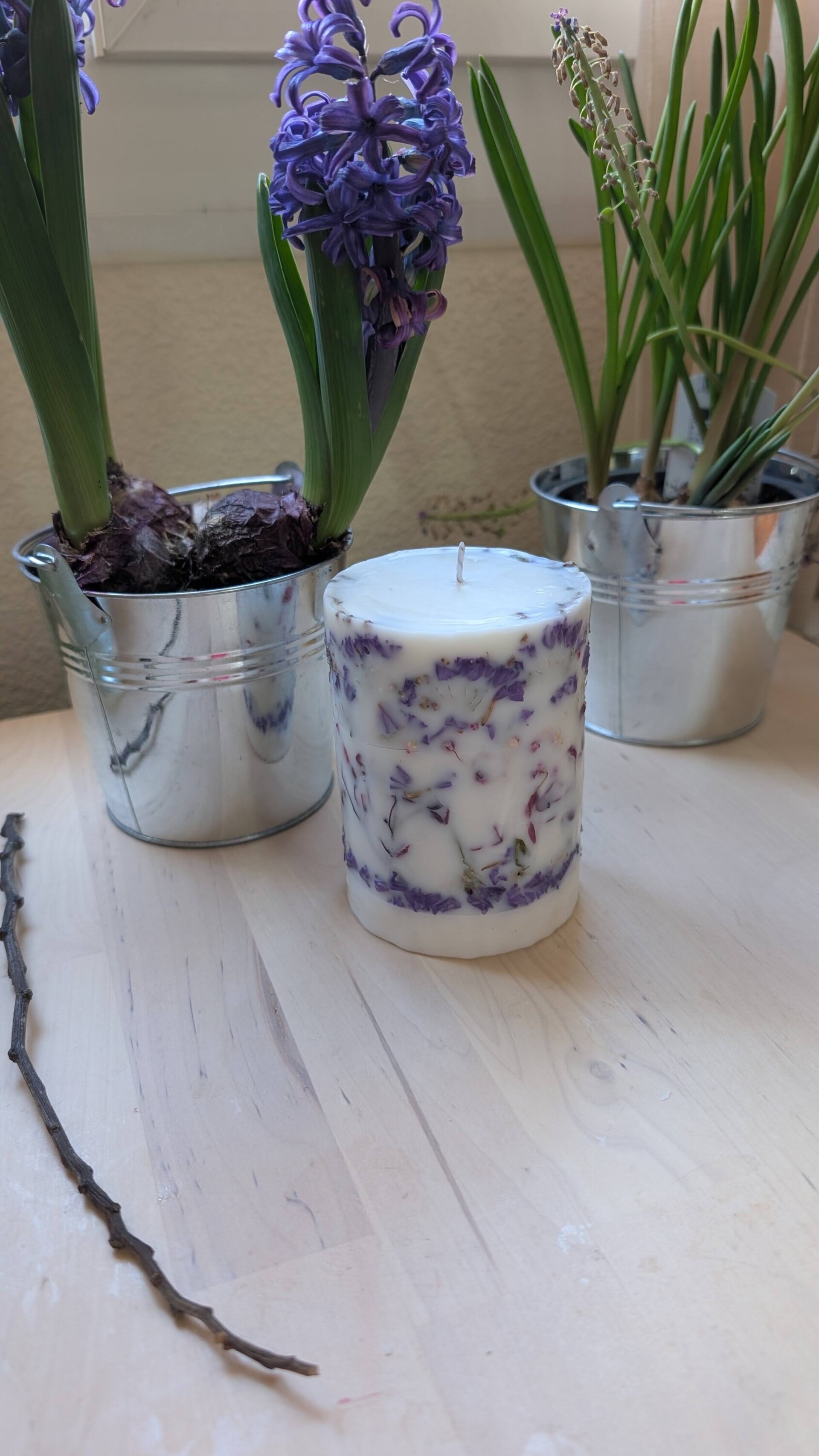Velas Botanica - 1