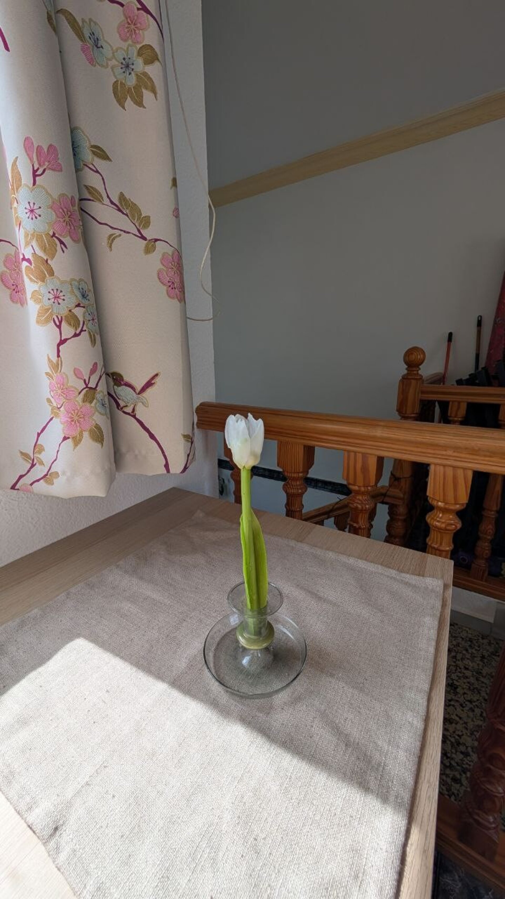 Vela Tulipán en el tallo - 3